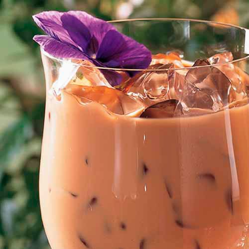Iced Coffee Latte - Recipes