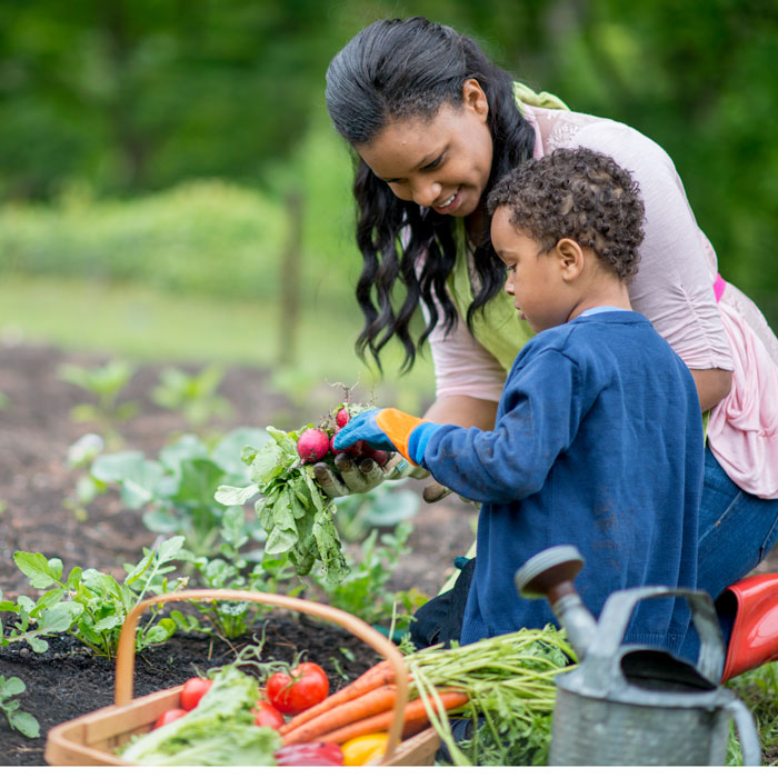 plant a family garden