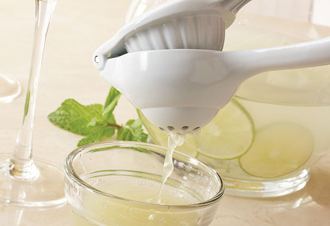 Mock Mojito