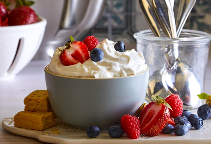 Deluxe Stand Mixer
