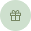 wrapped present icon