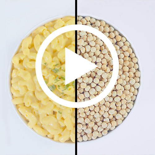 Play Enrichables Pea Protein Video