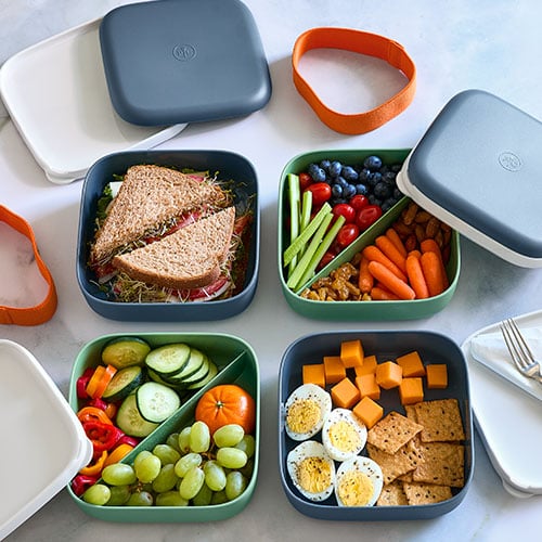 Disposable Bento Box Microwavable Airline Meal Tray