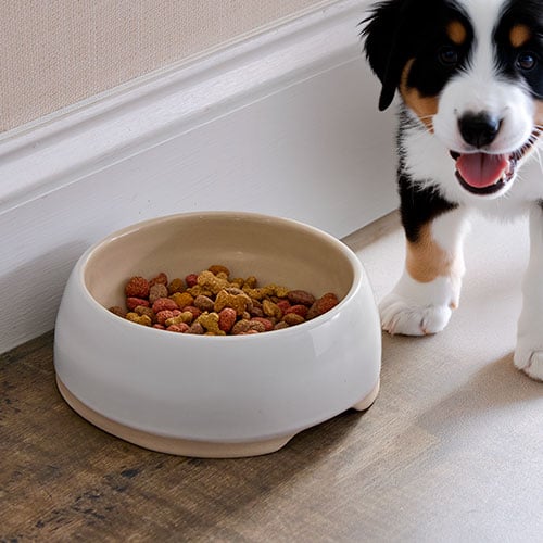 Bakeware - Shop | Pampered Chef US Site