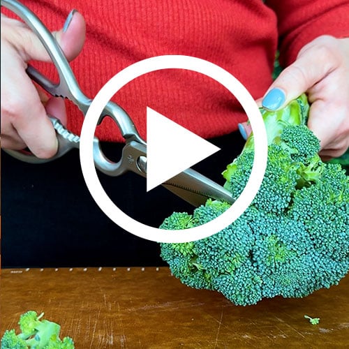 Play Foundations Kitchen Shears Video
