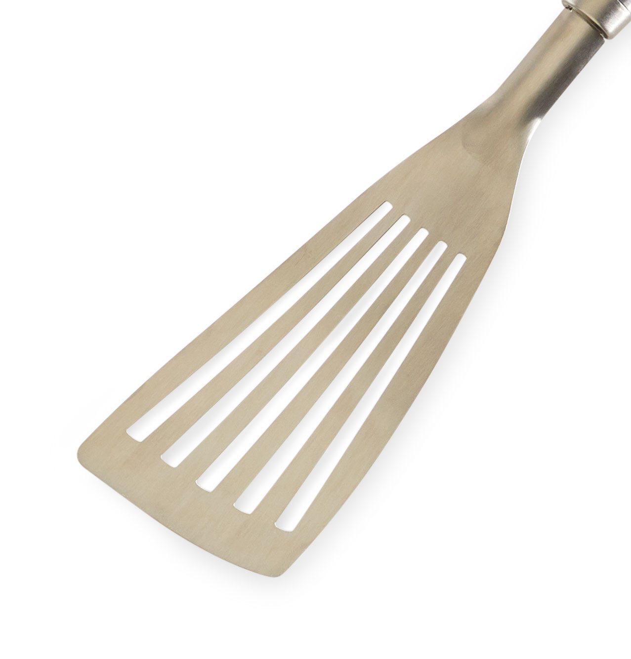 spatula fish