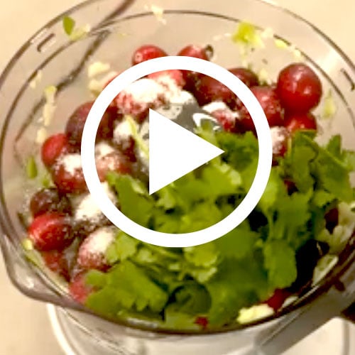 Play Cranberry Salsa Video
