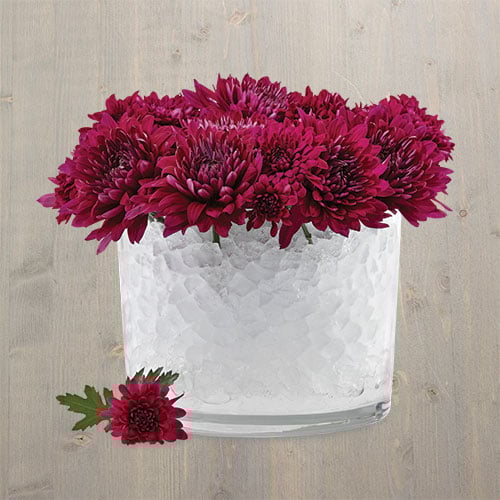 How To Decorate With Trifle Bowl Cooking Ideas Pampered Chef US Site Beauteous Trifle Bowl Decorations How To Decorate With Trifle Bowl Cooking Ideas Pampered Chef US Site Beauteous Trifle Bowl Decorations