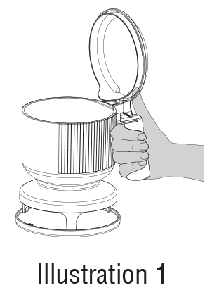 illustration