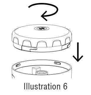 illustration