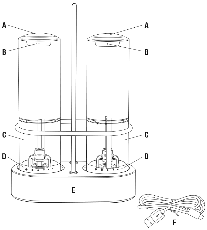 illustration